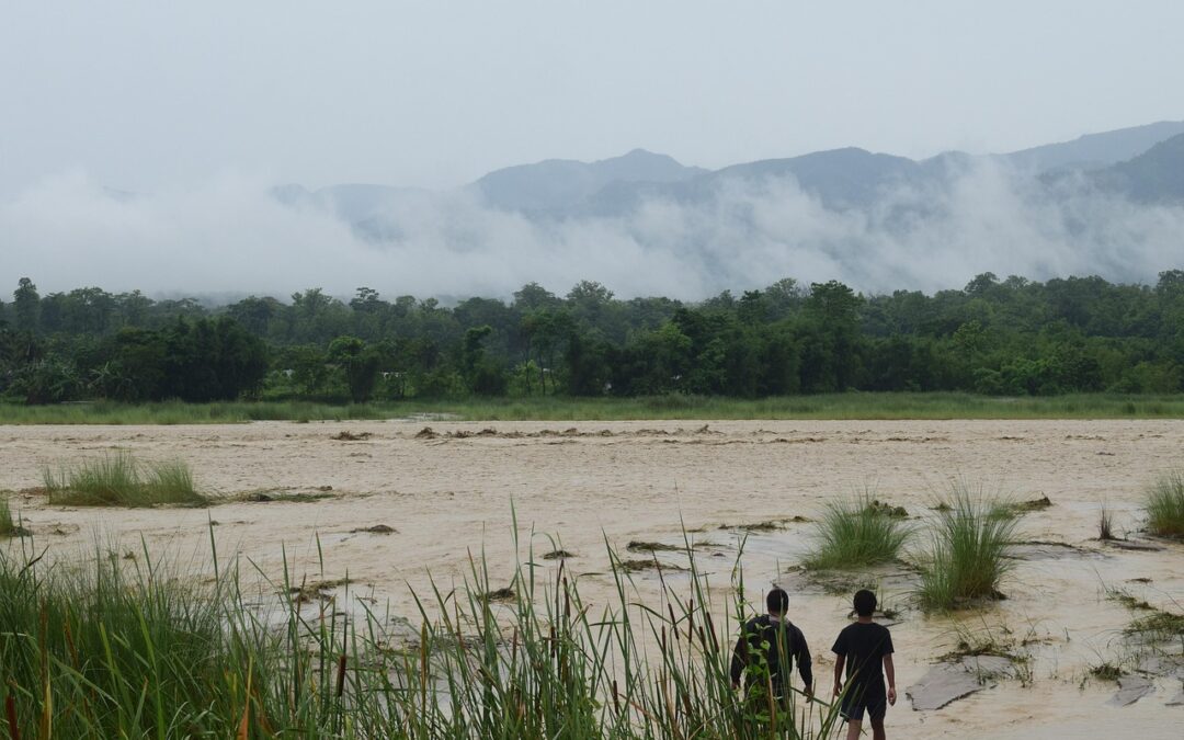 Une photo apaisante de nature