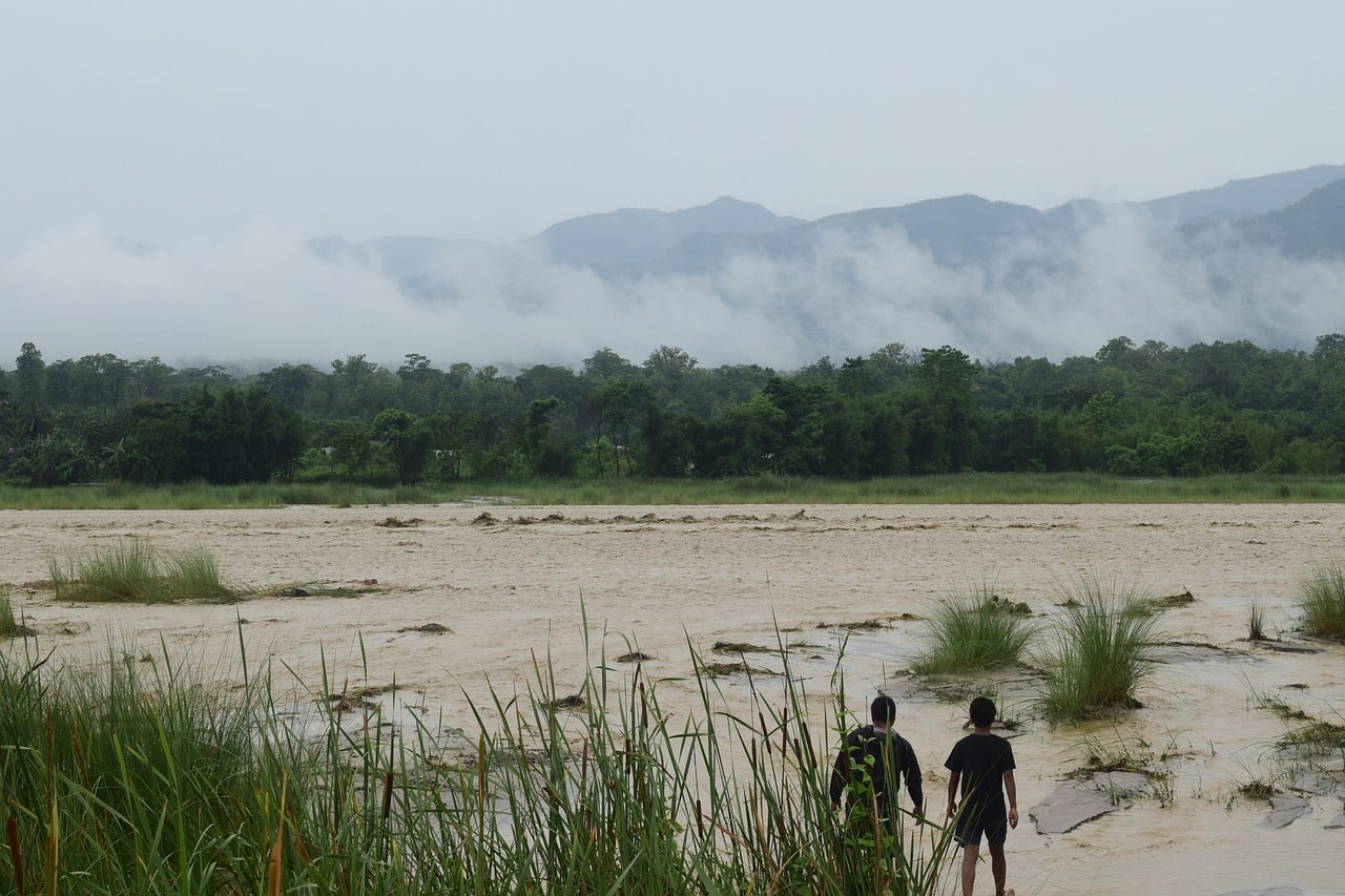 Une photo apaisante de nature