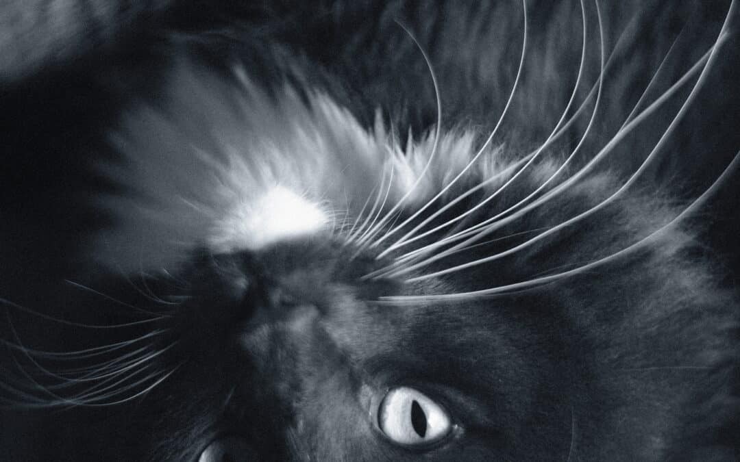 Le présent n&rsquo;est pas un stage de yoga